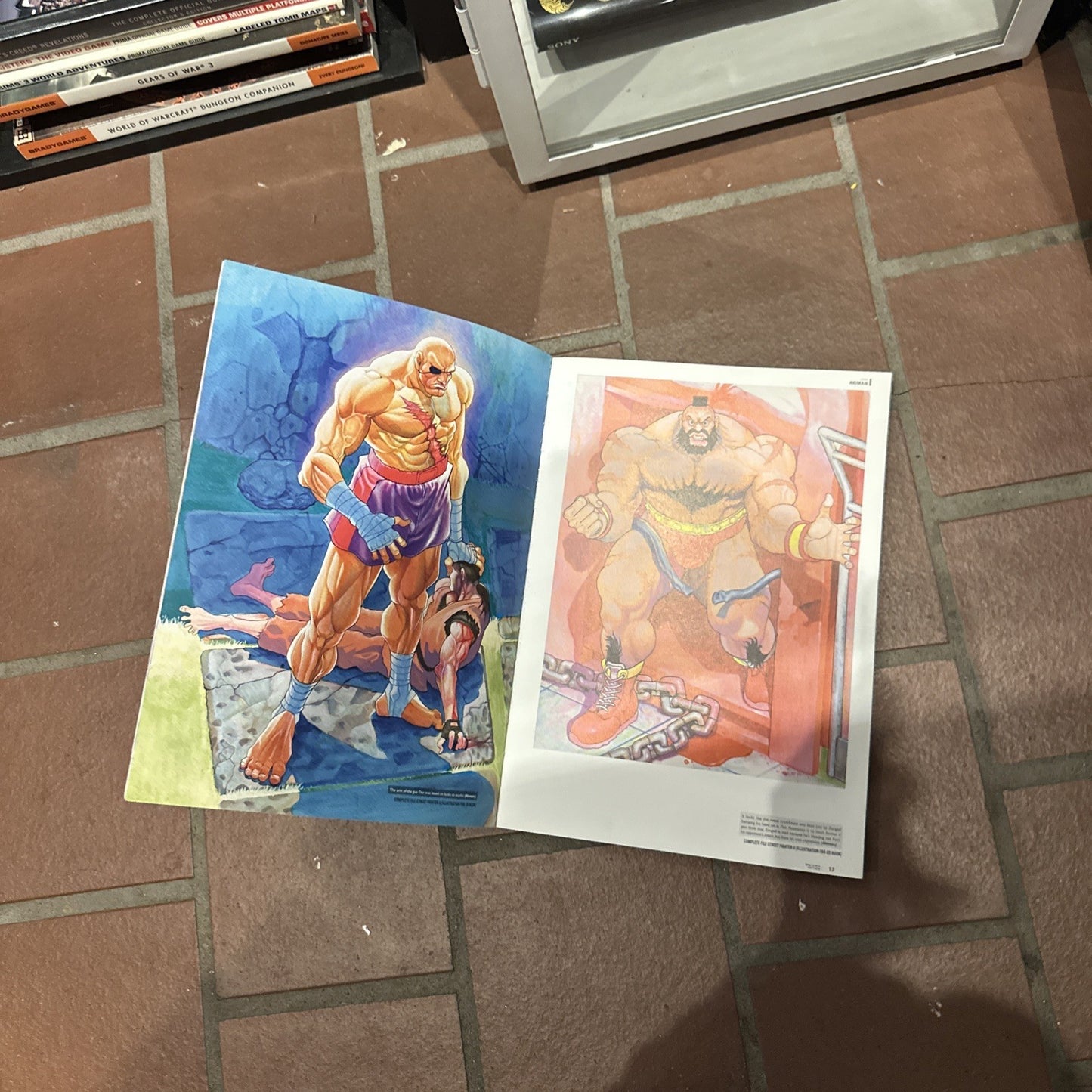 The Art of Street Fighter (2009) Softcover 20th Anniversary Edition SF20 Capcom