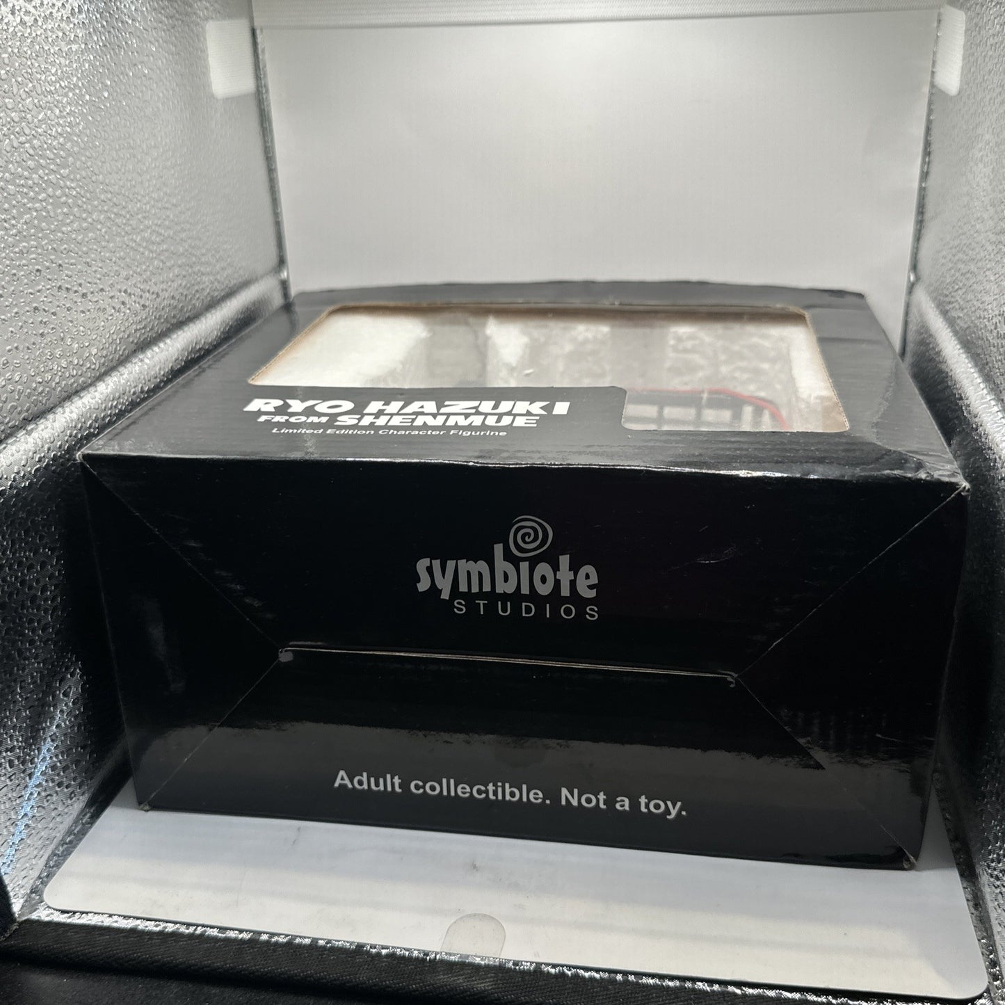 Ryo Hazuki Shenmue Limited Edition Figure Sonic & Sega All-Stars Racing Statue